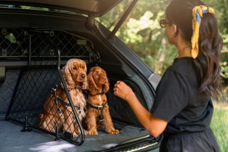 Bentley Motors , Pet Accessory Range